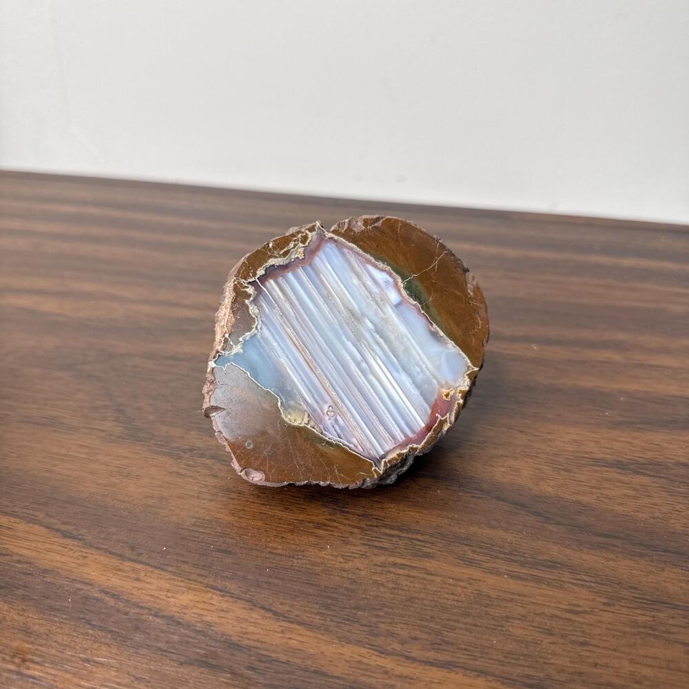 Polished Thunderegg Half Waterline Agate Nodule Natural Volcanic Nodule Mineral